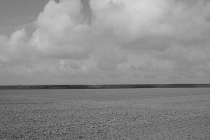 zwaar contrast (11 of 7)