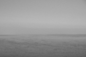 zwaar contrast (6 of 3)